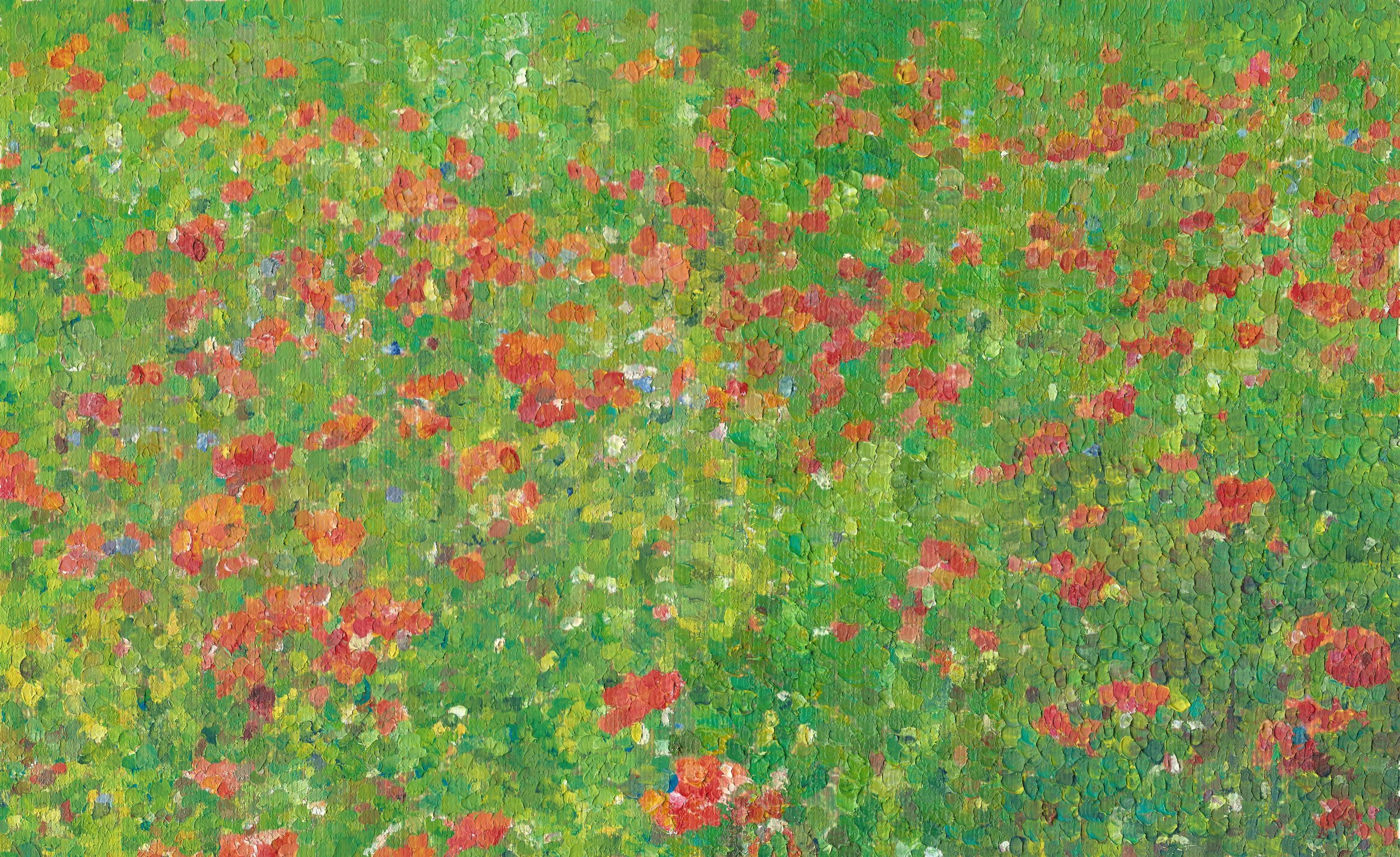 Poppiesresize.jpeg