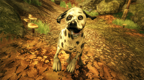 You got all excited for nothing, pup