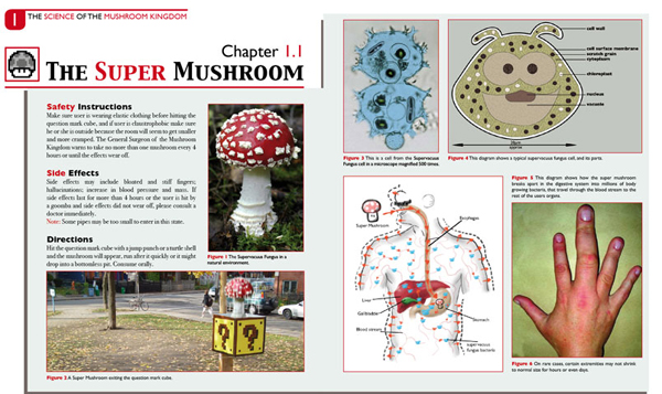It's just a school project, but Theyab's work brings up profound questioning of what exactly is going on in the Mushroom Kingdom.