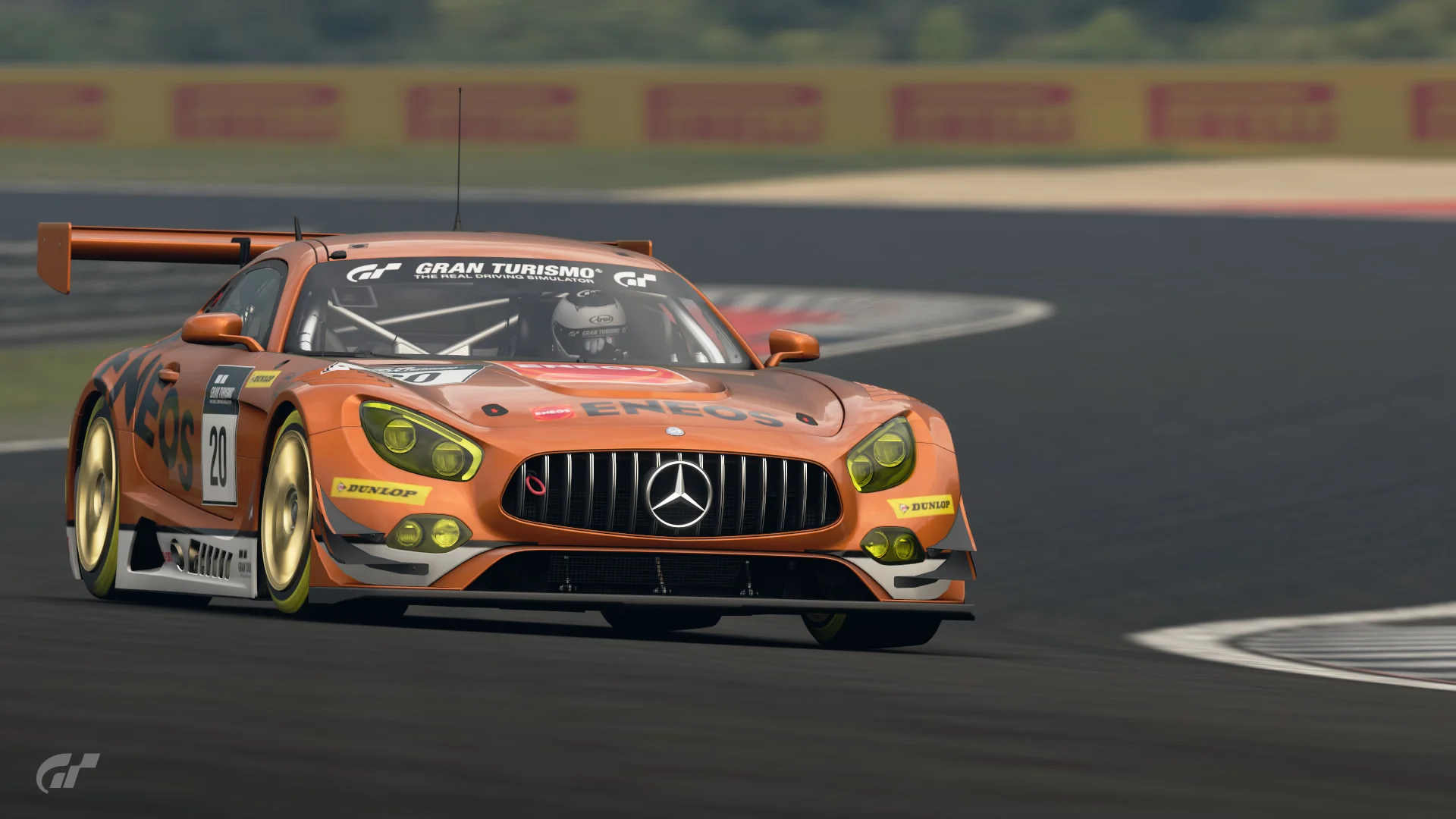 cat17_10_photomode_body1.jpg