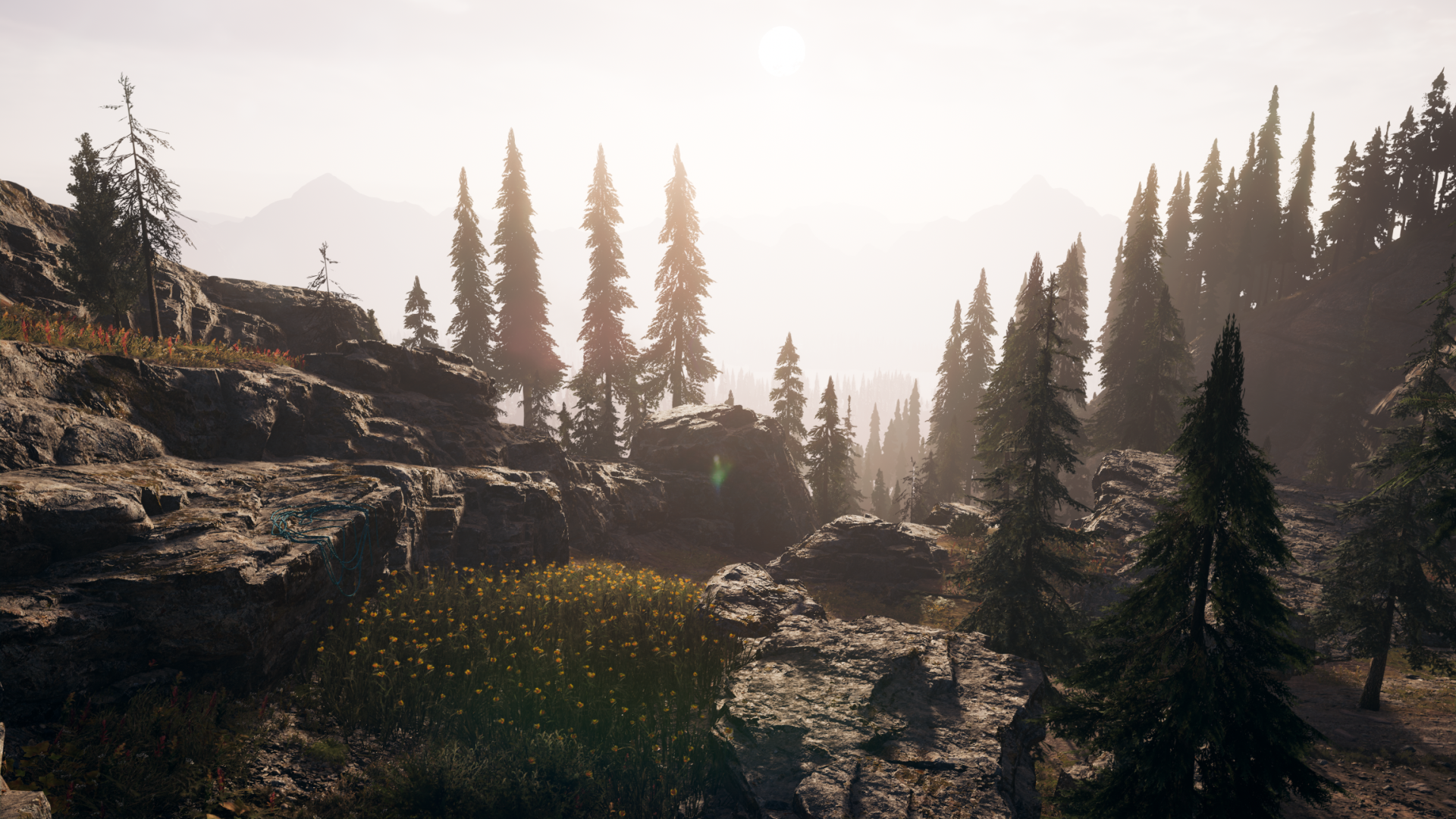 Far Cry 52018-5-15-21-55-28.png