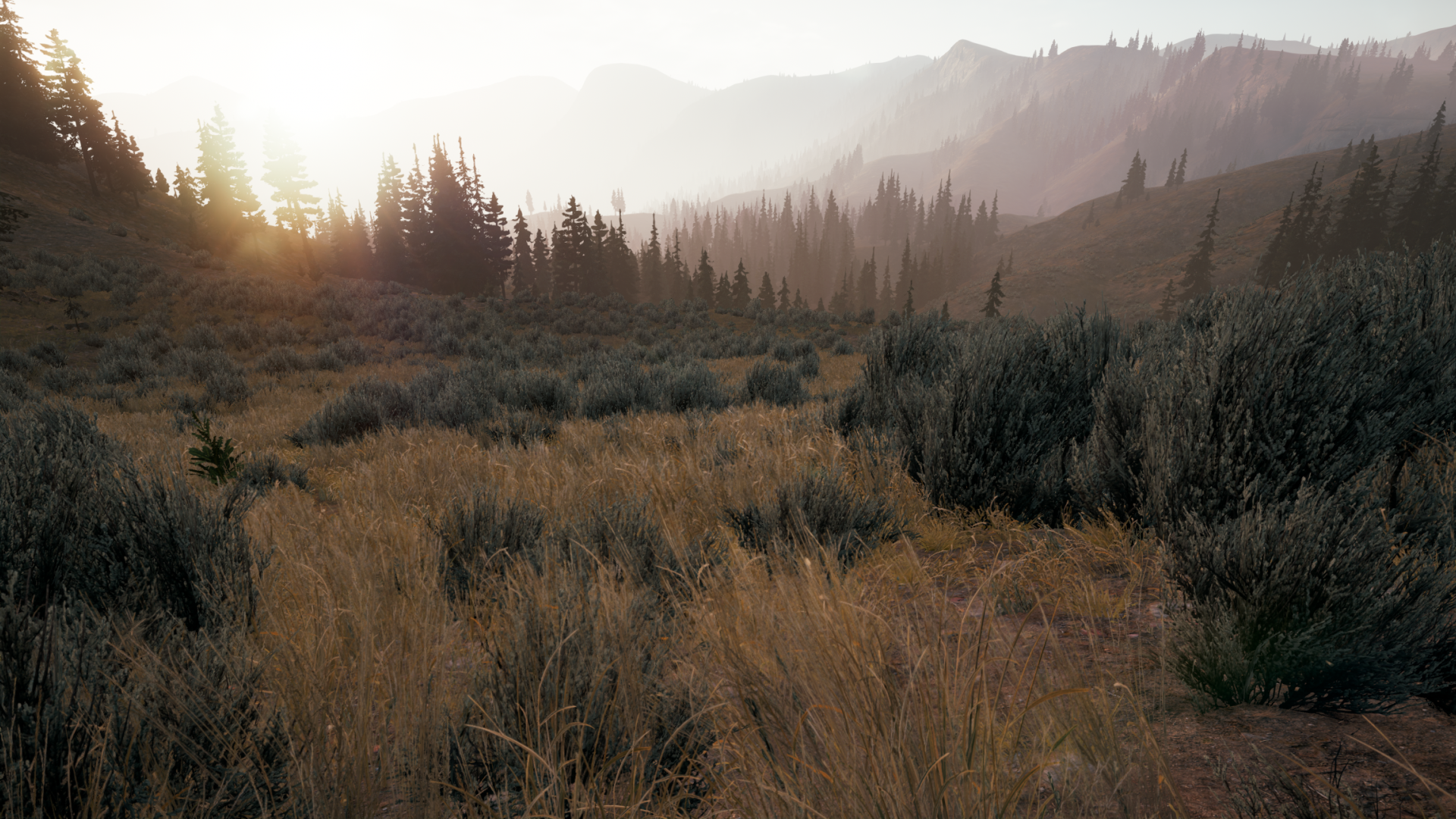 Far Cry® 52018-5-19-7-22-40.png