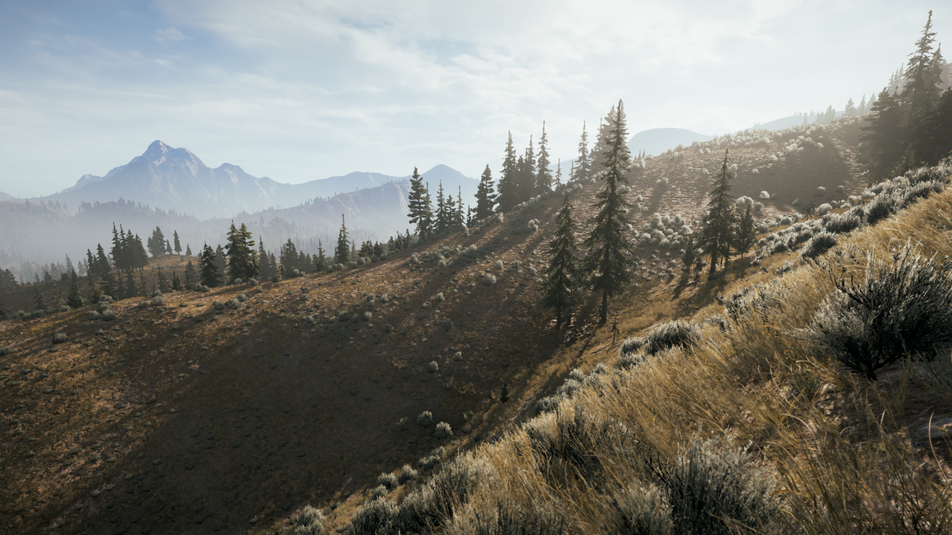 Far Cry® 52018-5-19-7-30-20.png