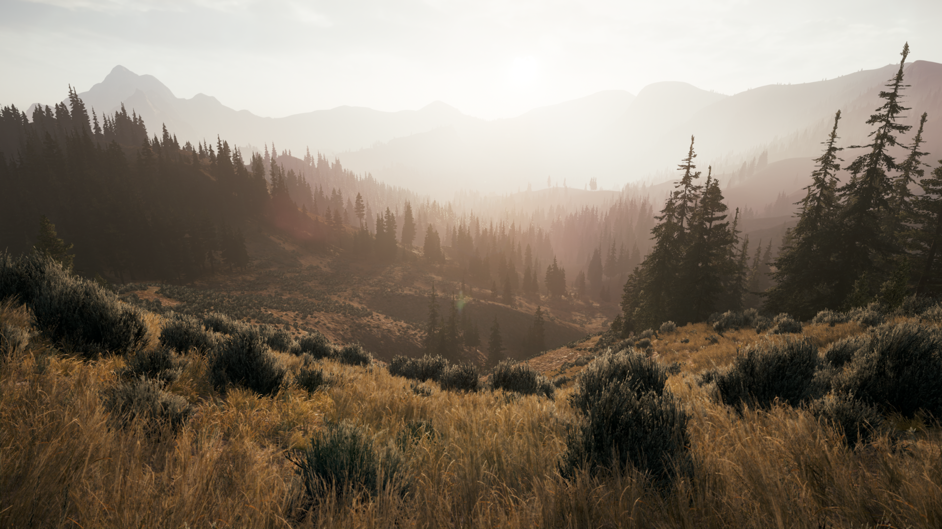 Far Cry® 52018-5-19-7-23-35.png