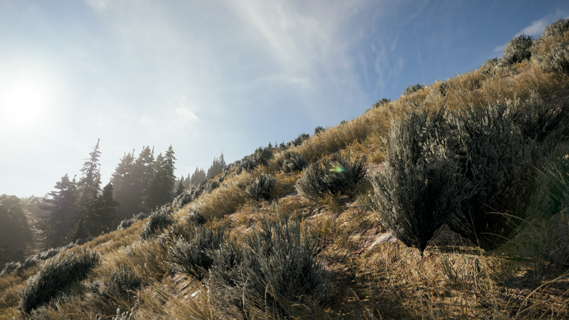 Far Cry® 52018-5-19-7-30-58.png