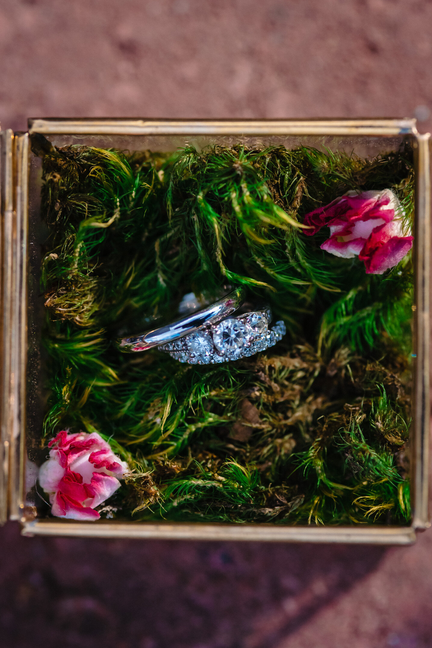 Weddings rings in moss filled box