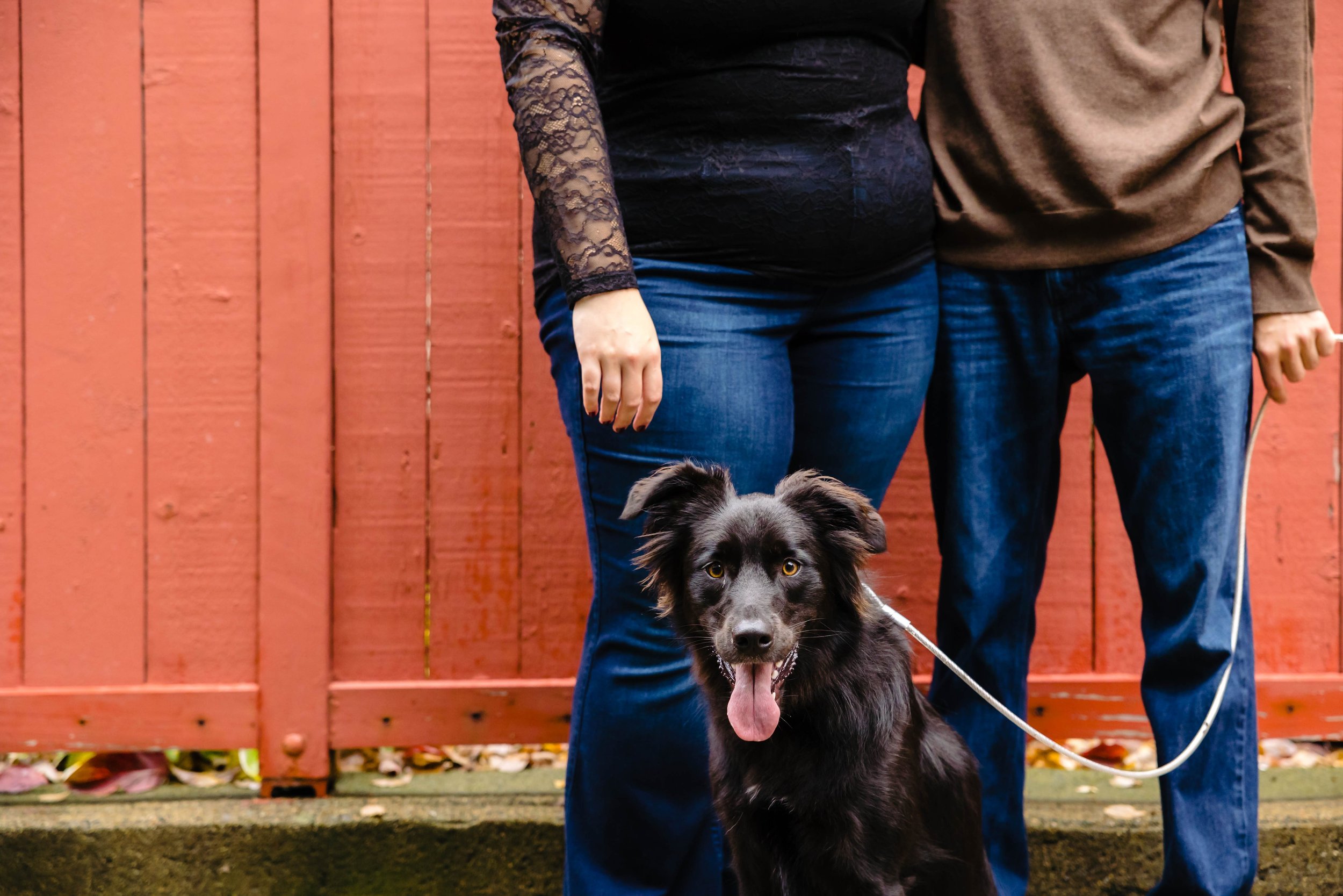 non_cheesy_engagement photos4280.jpg