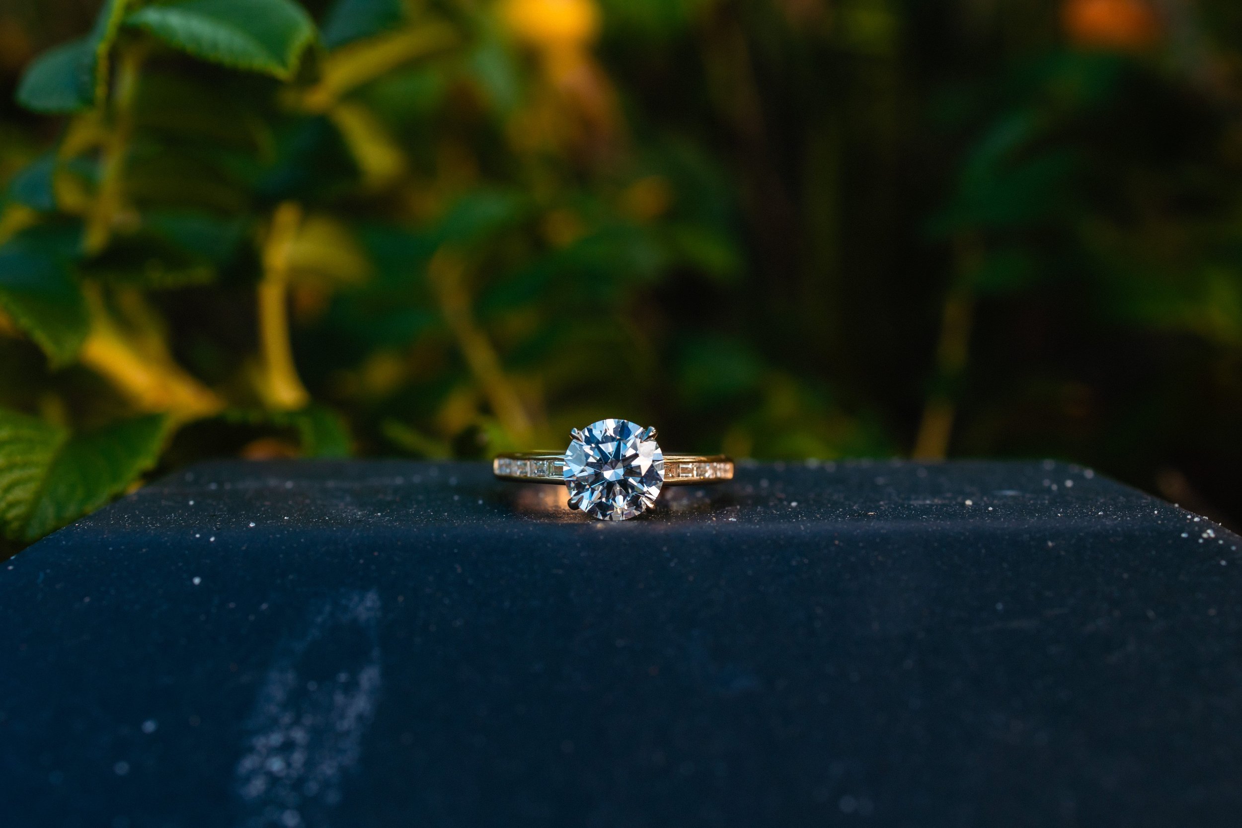 Proposal Photos-29417.jpg