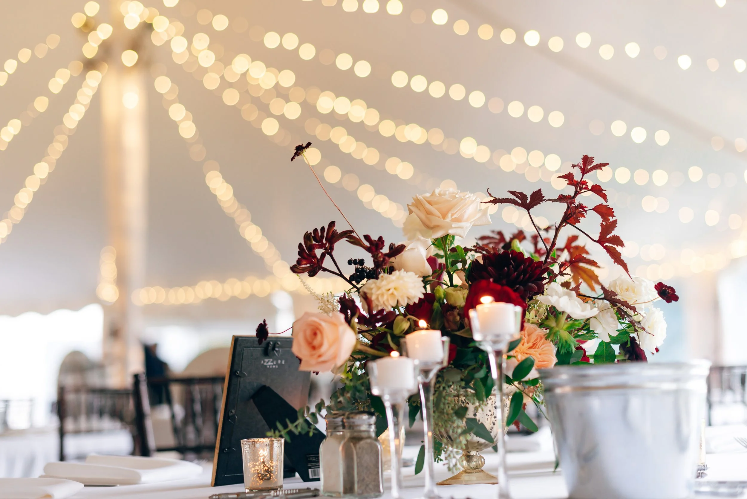 Piper-Brown-Photography_Blithewold-Wedding_7229.jpg