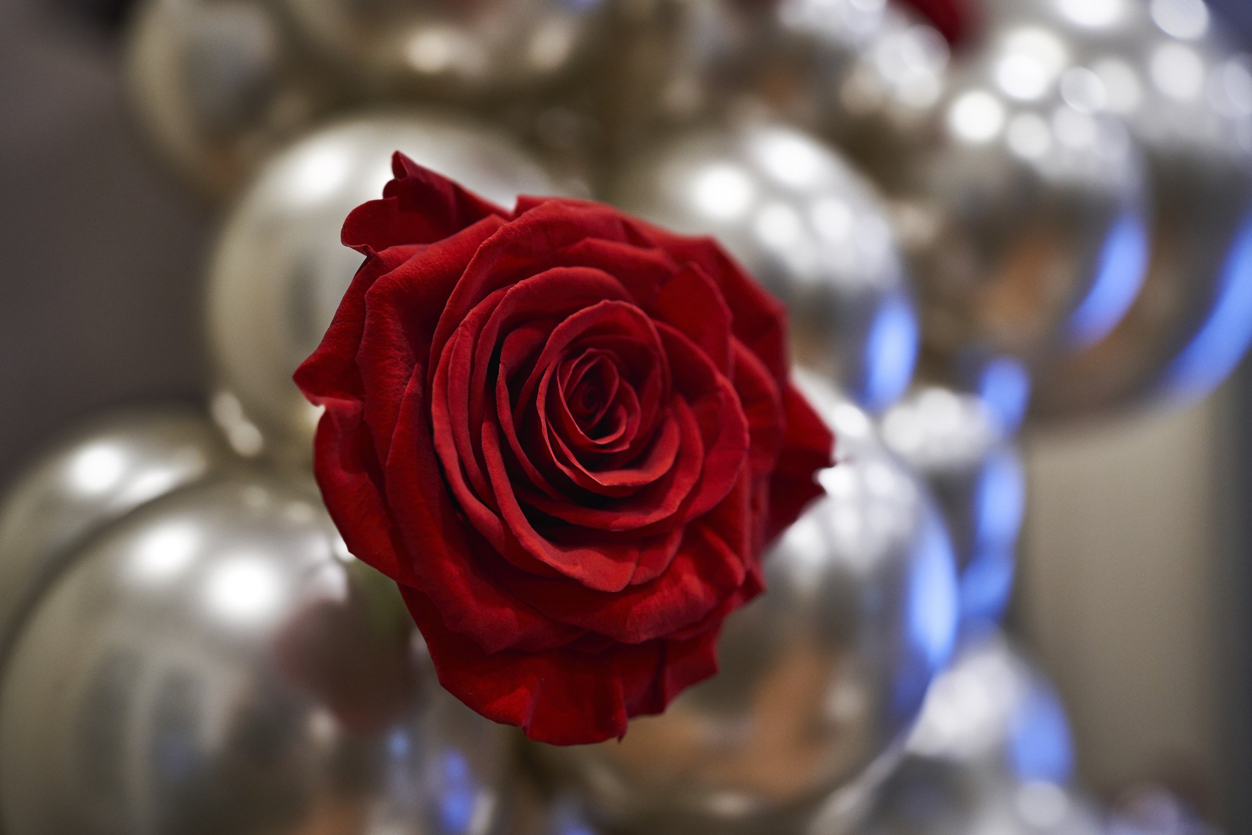 KE25Prom_005.jpg