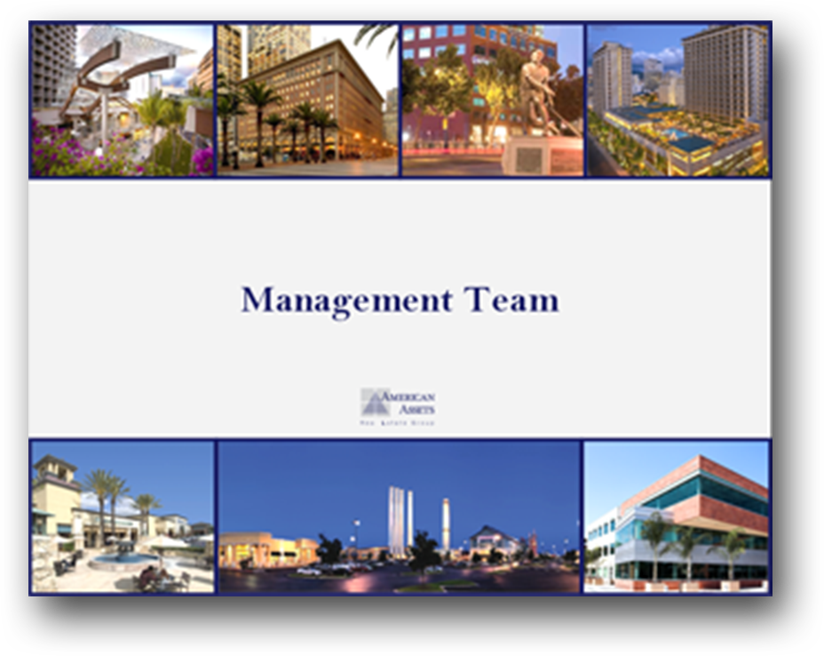 American Assets Divider Page.png