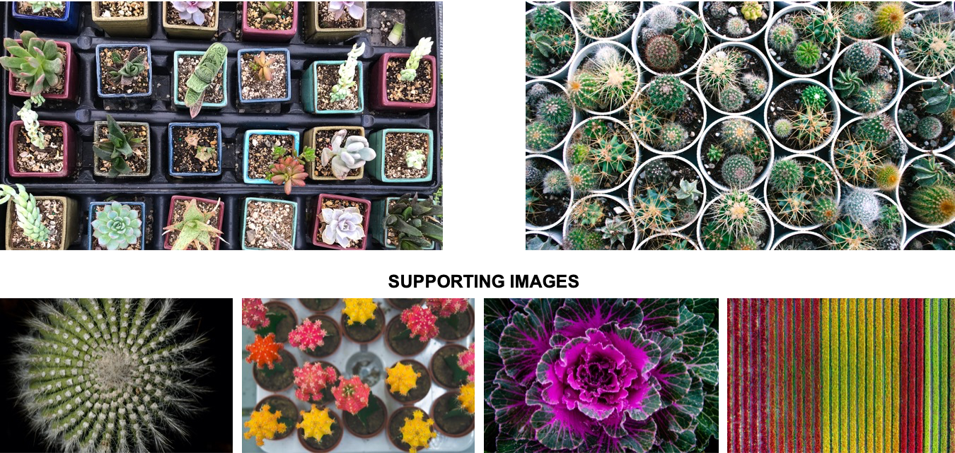 Plant Containers Pitch.png