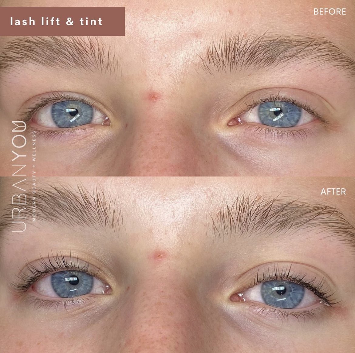 Lash Lift and Tint before and after photo at The Urban You Medical Spa in Grand Rapids