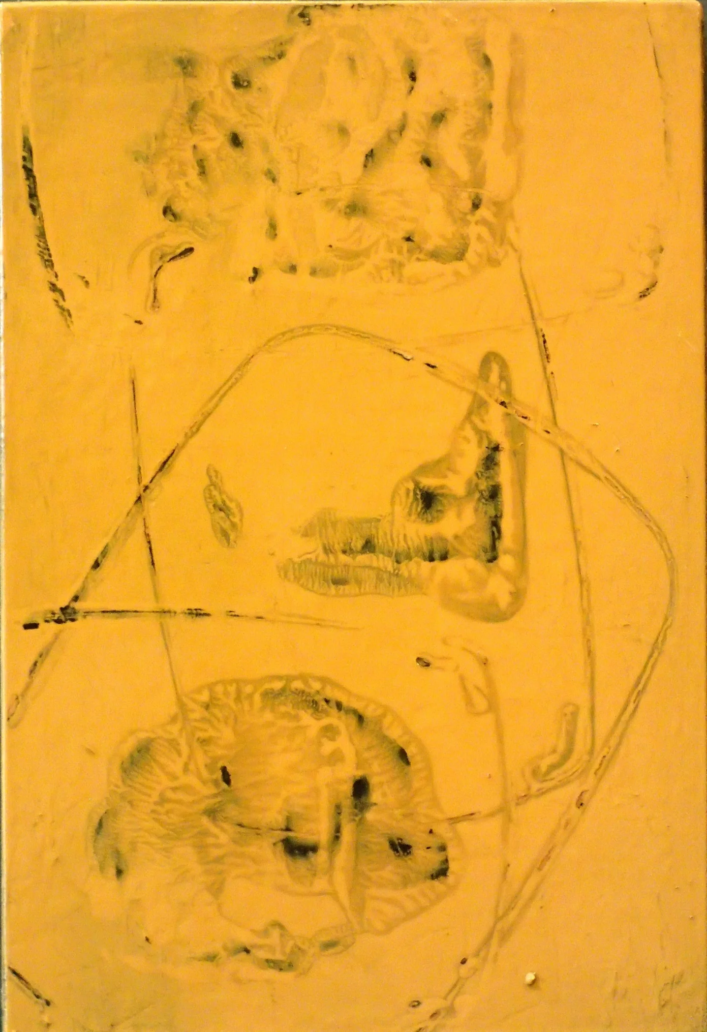 PB291541.JPG