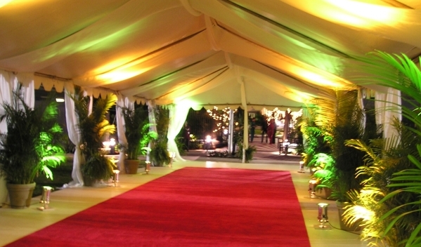 Red Carpet Lighting.JPG