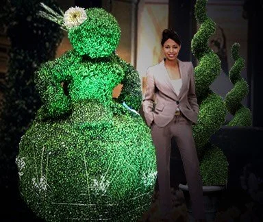 image - Copy (13).PNG