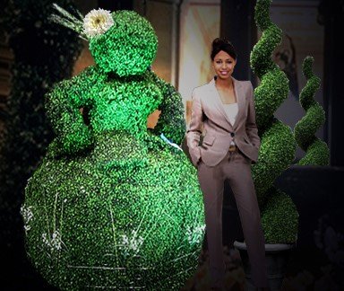 image - Copy (13).PNG