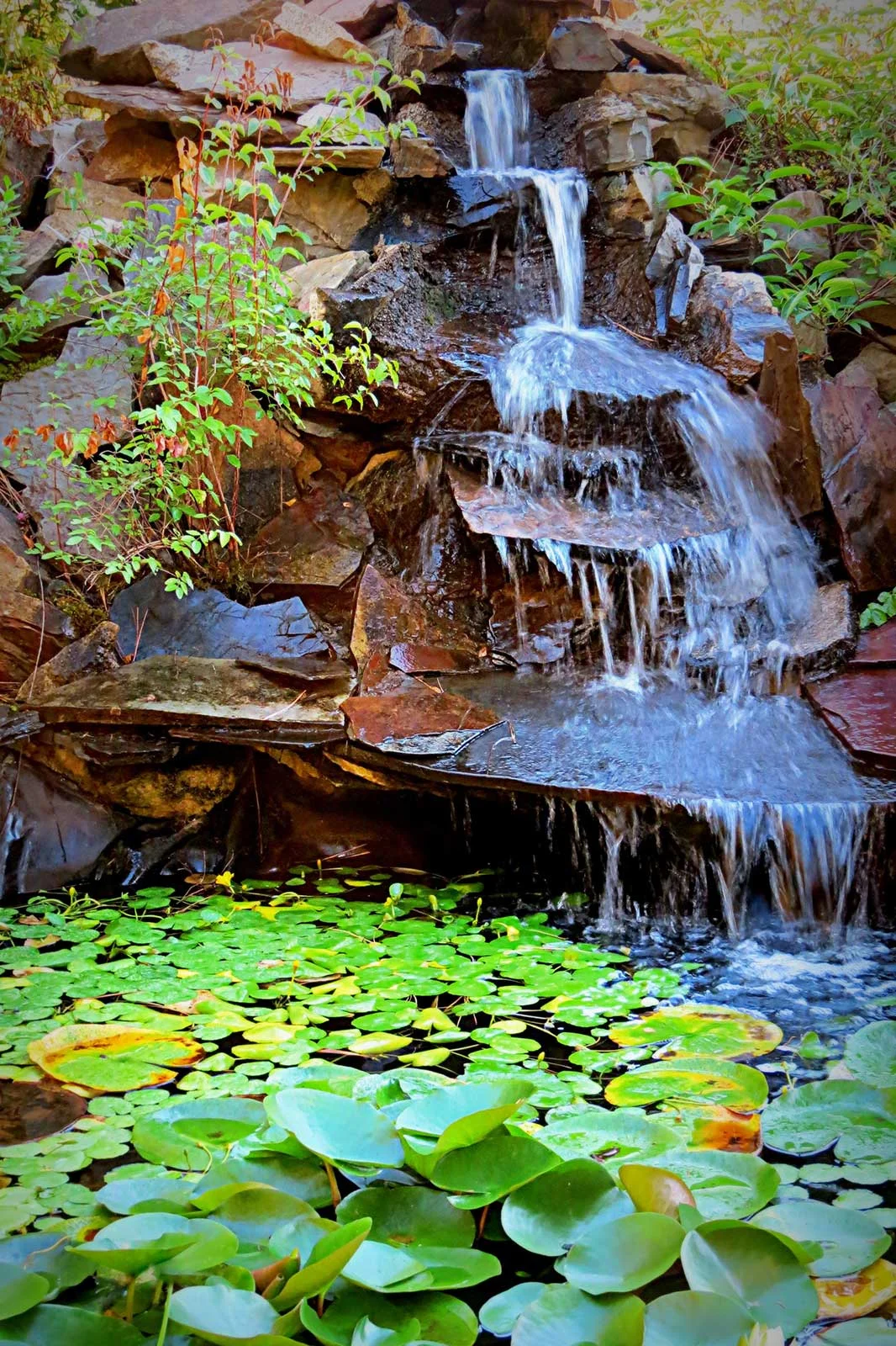 "Garden Waterfall"