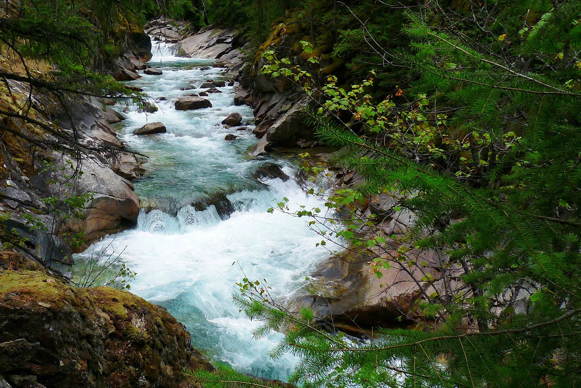 "Fry Creek Canyon"