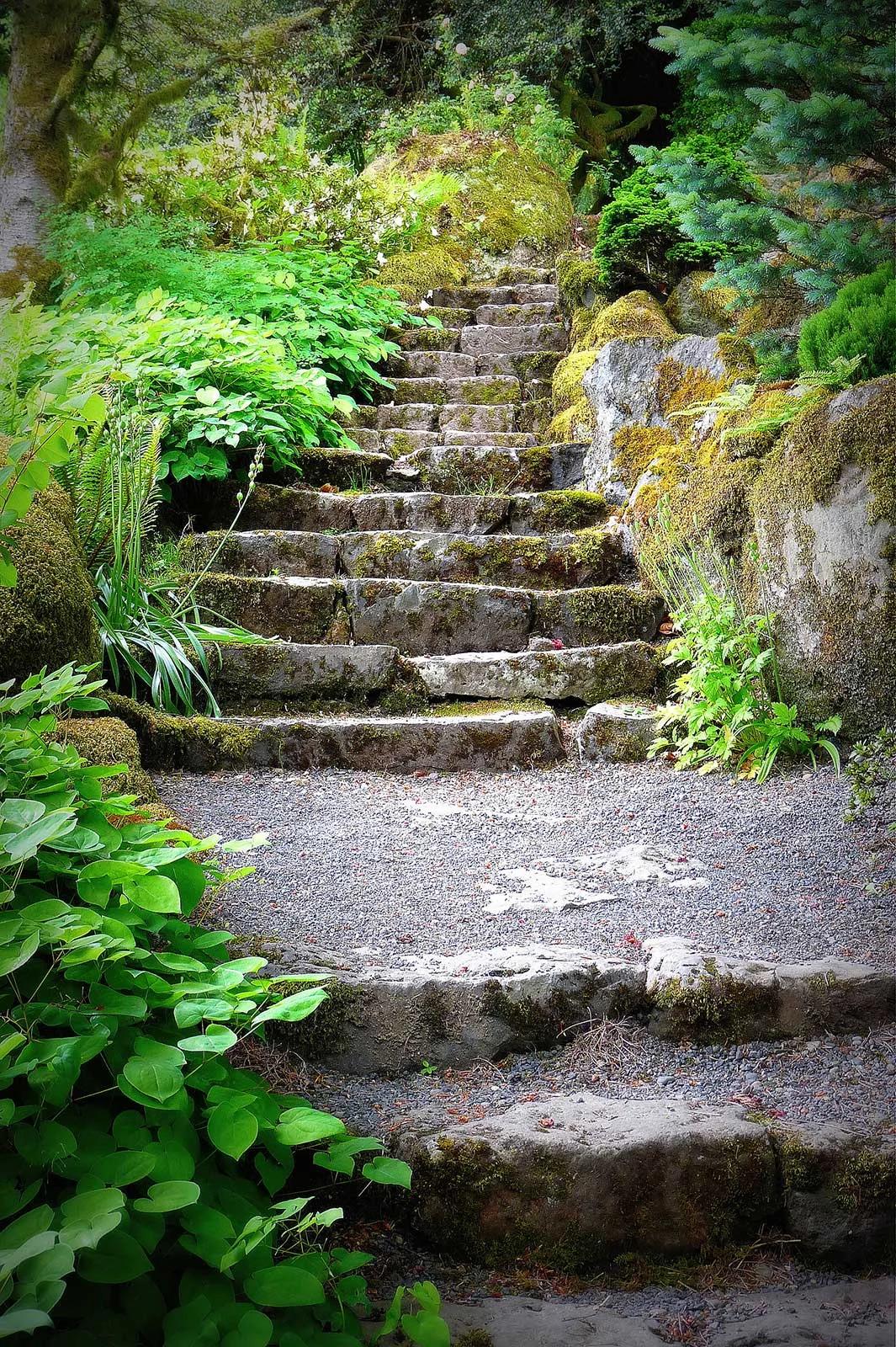 "Elk Rock Garden Steps"
