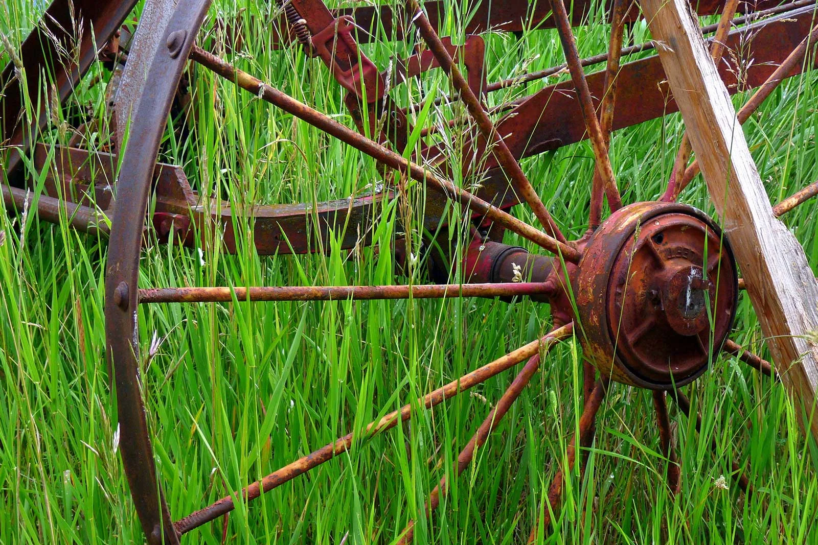 "In the Field"