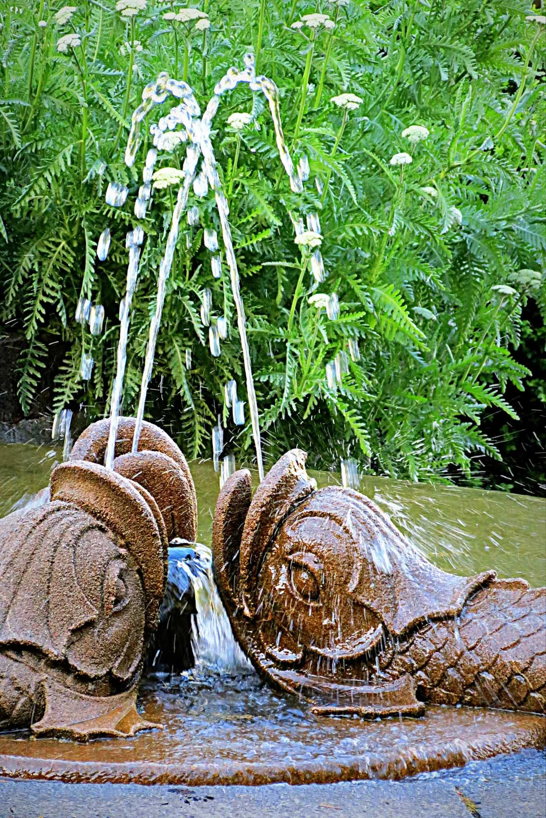 "Garden Fountain"