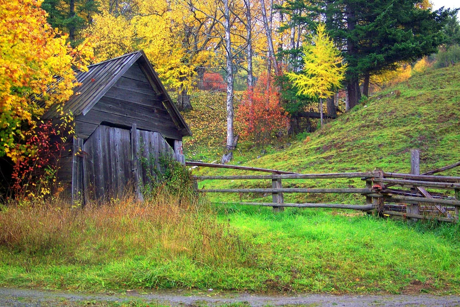 "Old Shed in Autumn"