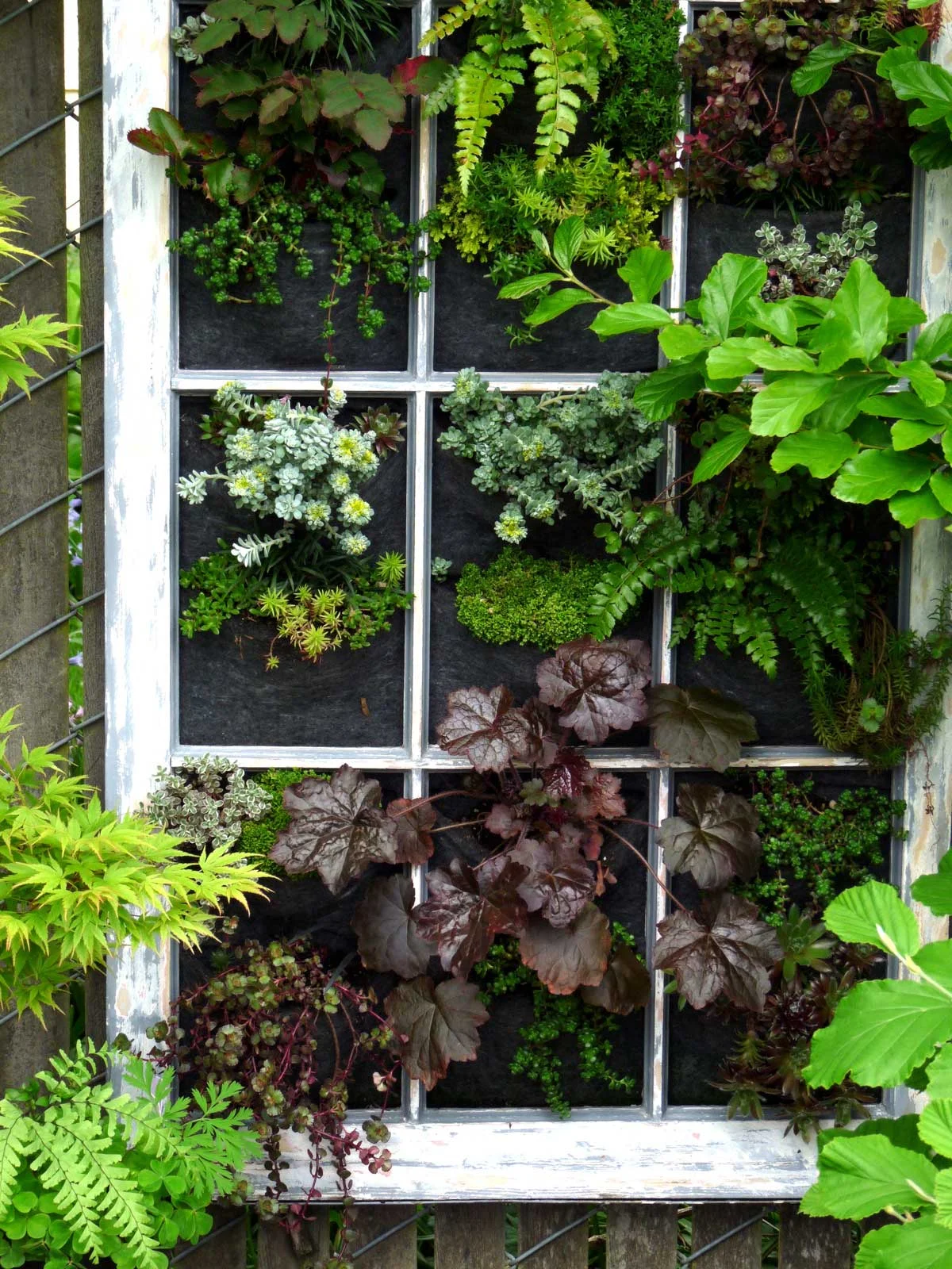 "Window Garden"