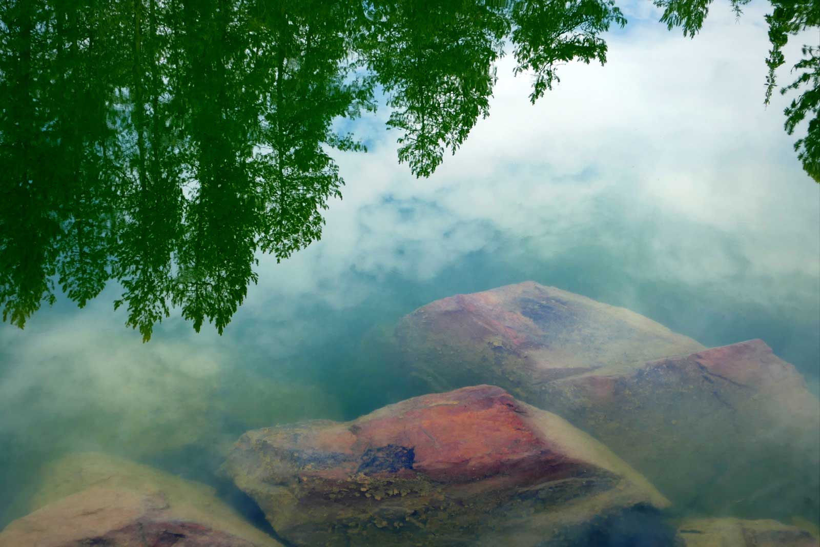 "Sentinel Reflections"