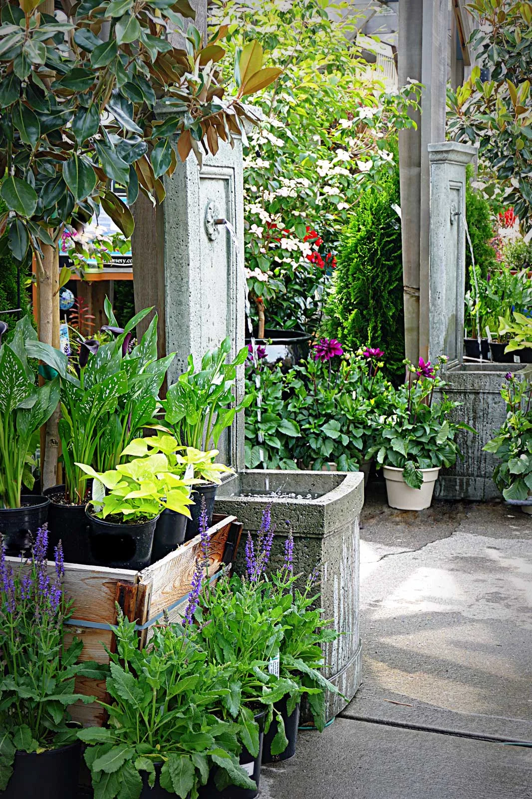 "Garden Fountains"