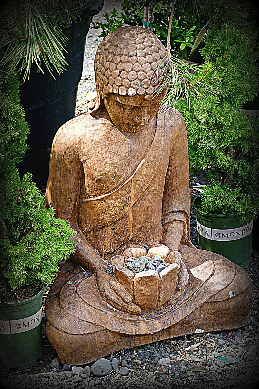"Garden Meditation"