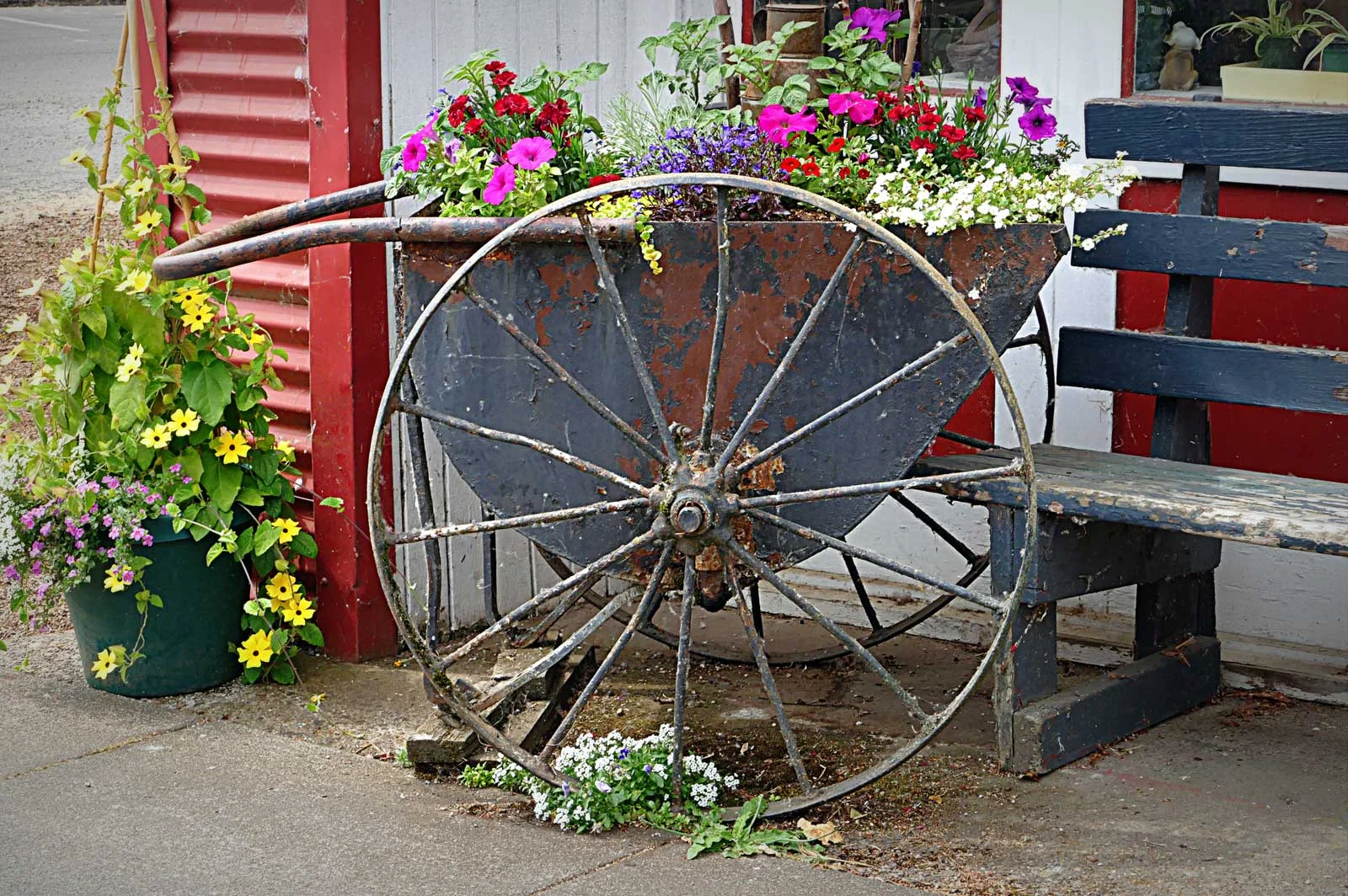 "Wheelbarrow of Flowers"