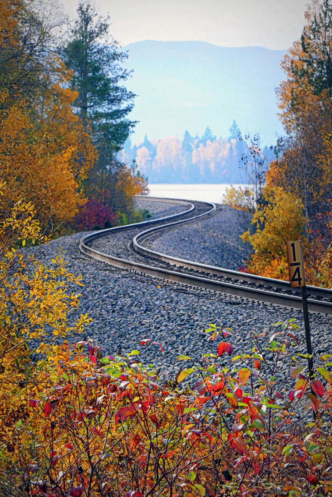 "S-Curve in Fall"