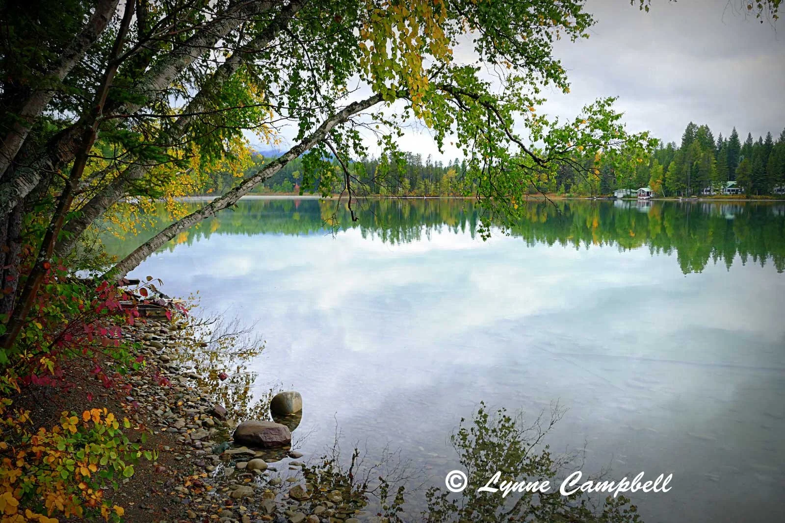 "Fall Scene, Lake Five, MT"