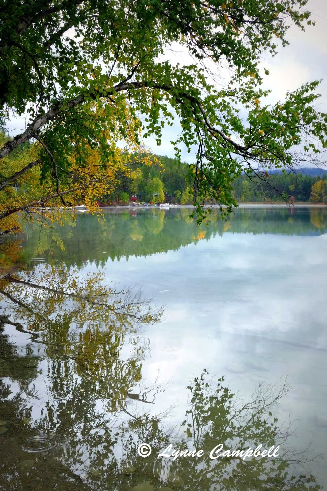 "Autumn at Lake Five, MT"