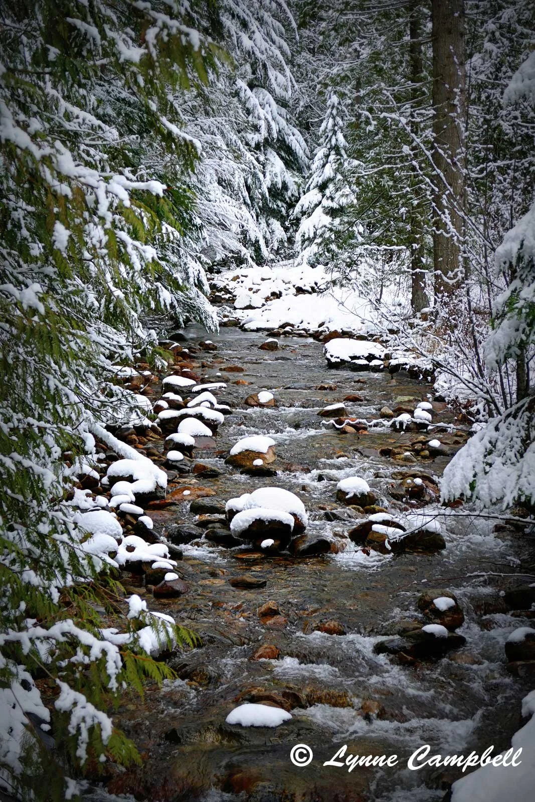 "Sand Creek in Winter"