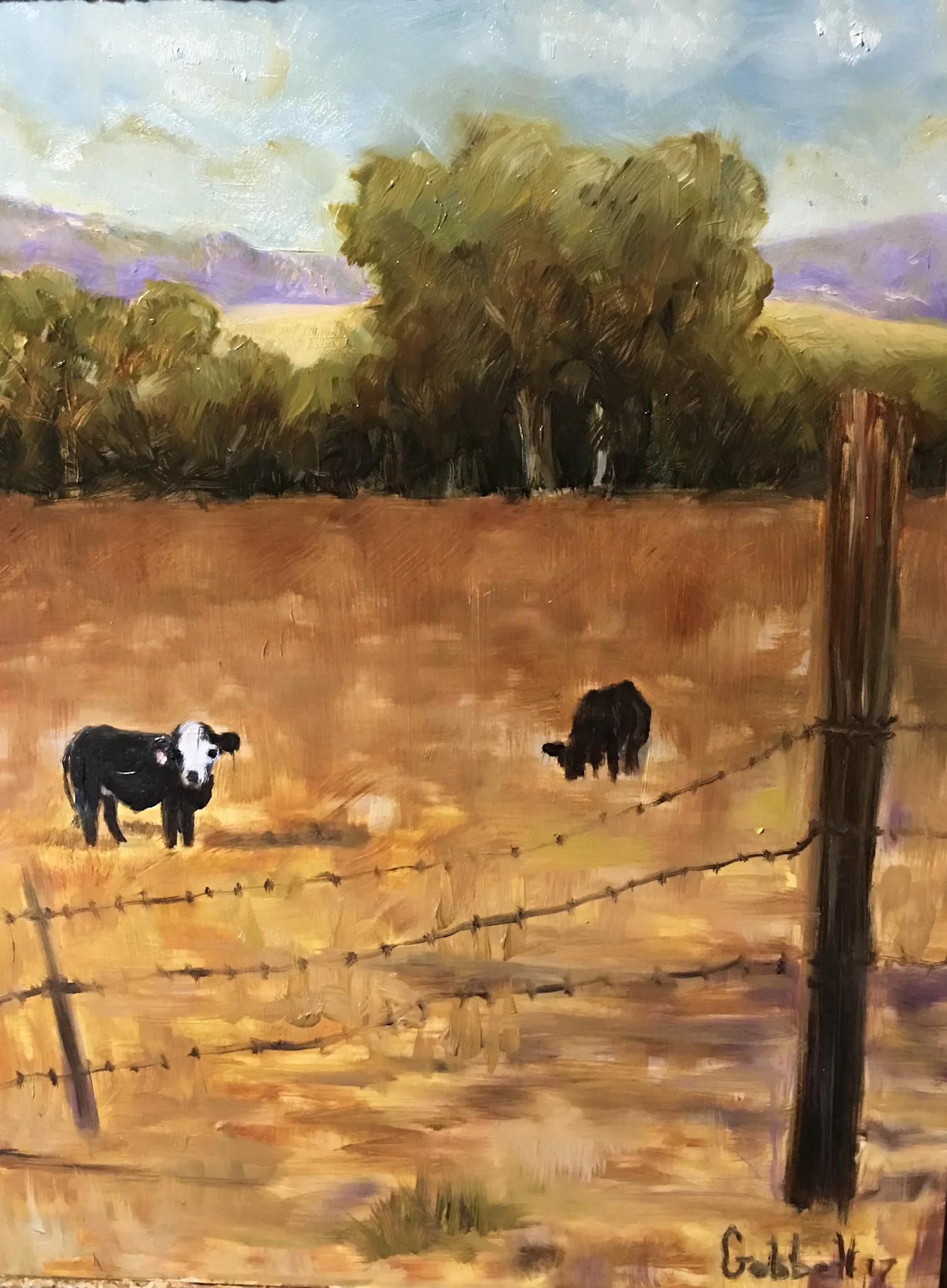 Calcium Cows