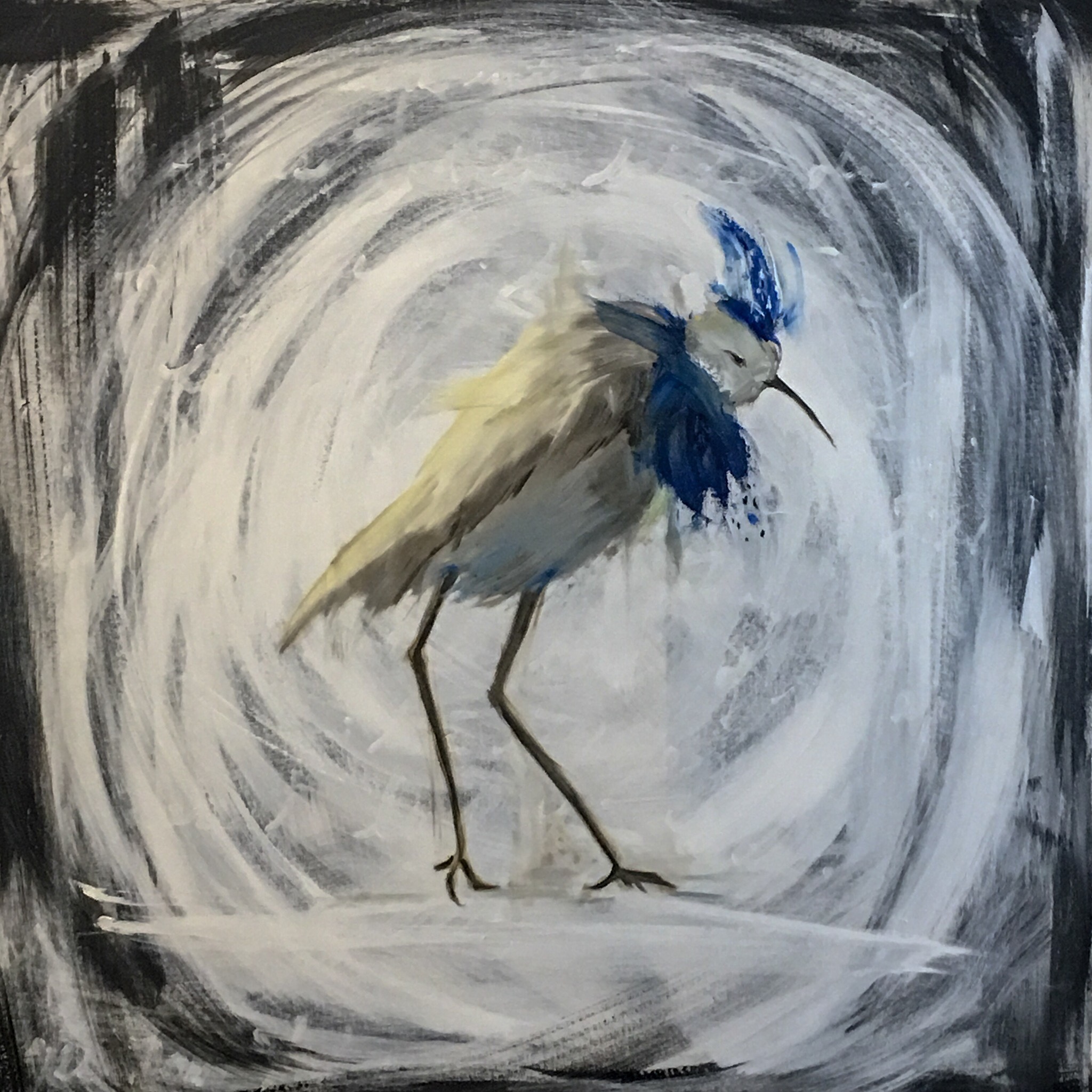 Bird of the Air