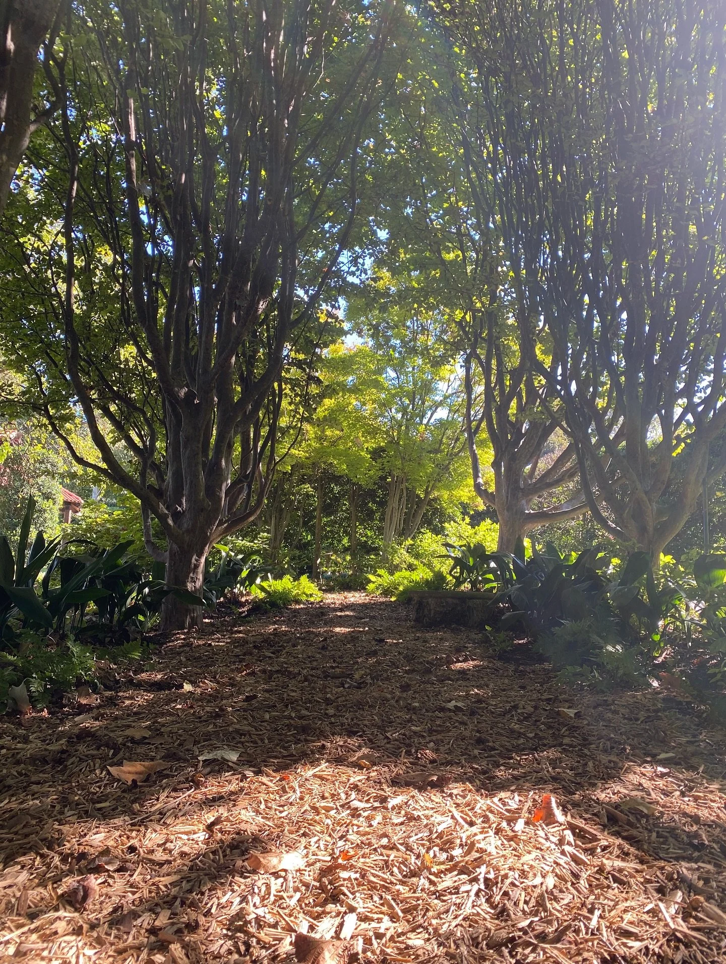 I do not know why some days are dripping with sunlight and birdsong and the effervescence of my spirit on fire, sensing and hearing the Lord in supernatural communion, and why some days are stripped and silent.

What matters is that I show up. That I