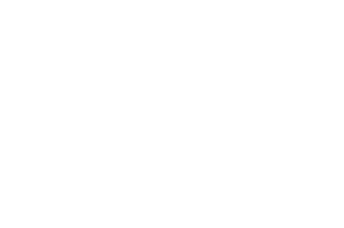 OFFICIAL+SELECTION+-+Yellowknife+International+Film+Festival+-+2019+(1).png