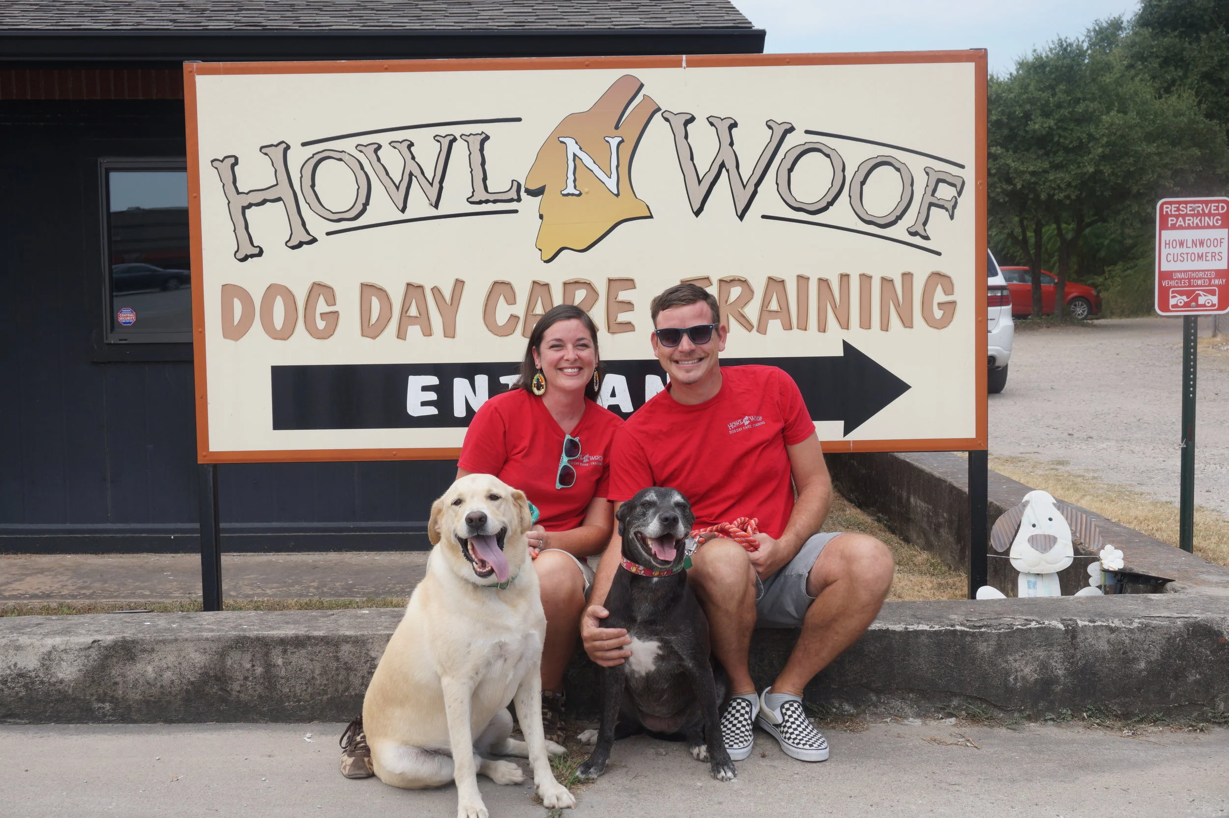 dog n it daycare