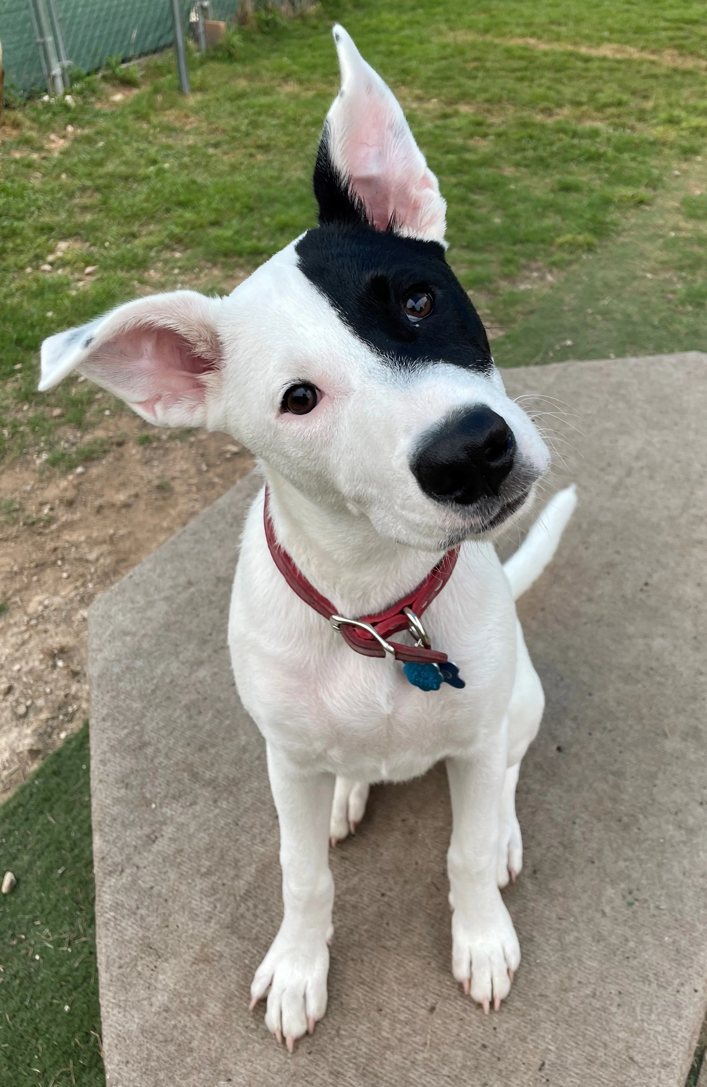 website facelift zuko.jpg