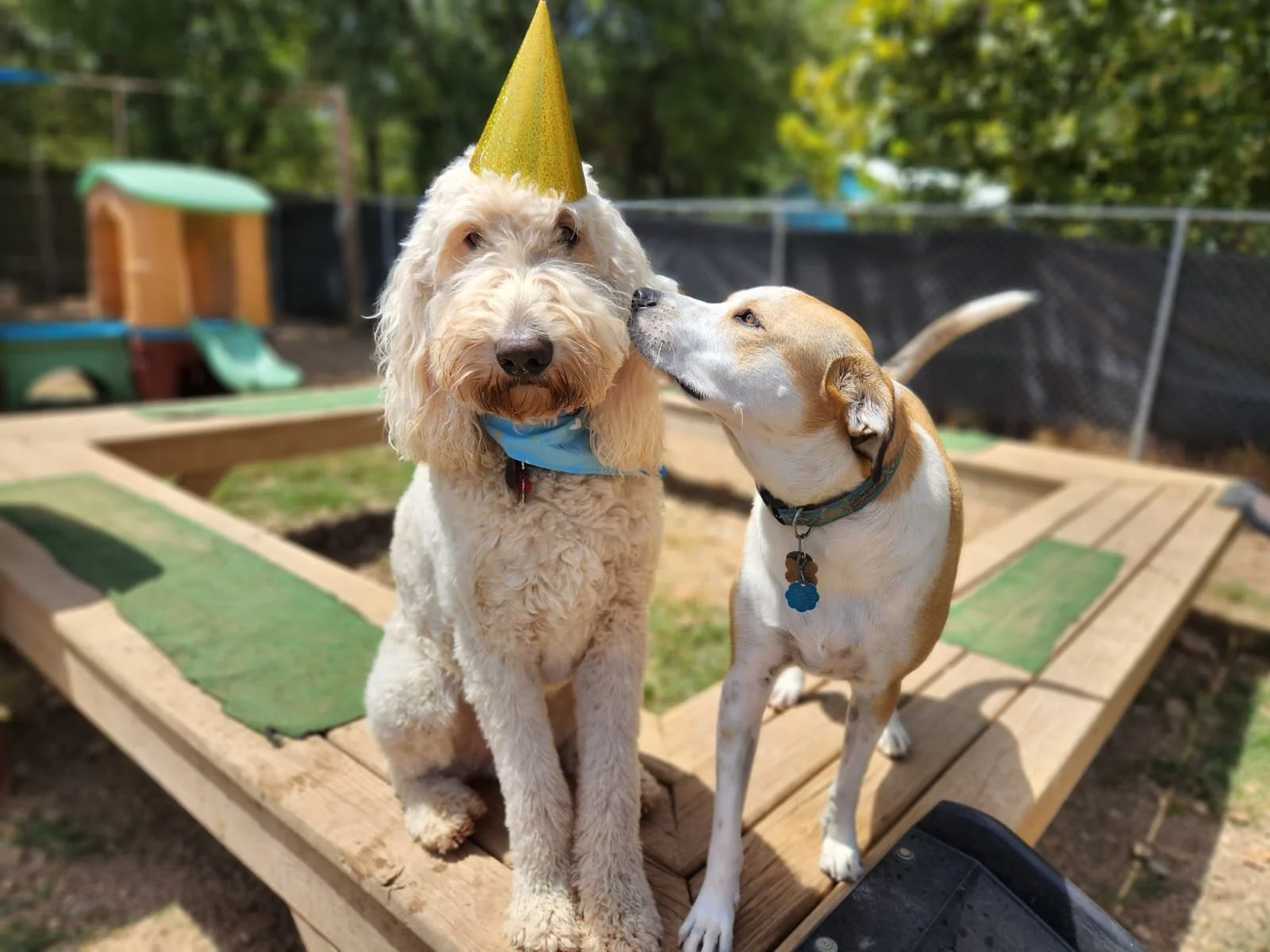 website facelfit hamilton and elena.JPG