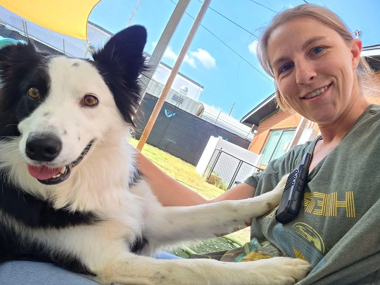 Hope everyone had a great Halloweekend! 🍂

#howlnwoofdogdaycare #dogdaycare #dogsofinstagram #dogsofatx #austintexas