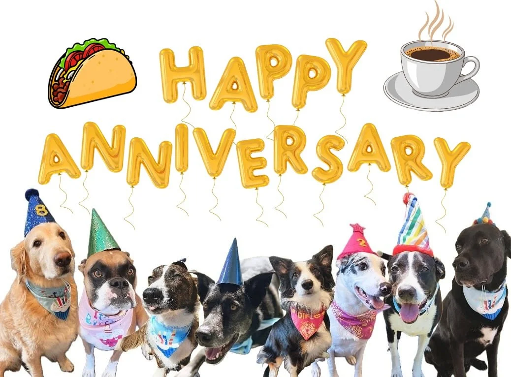 Celebrating 14 years of Howl N Woof!!! 🥳 Stop by our lobby Tuesday morning 11/18 for free tacos and coffee to celebrate with us!! 🌮☕️ Anyone is welcome to come by, even if your pup isn&rsquo;t here 😉

Tuesday the 11th marked 14 years of getting to