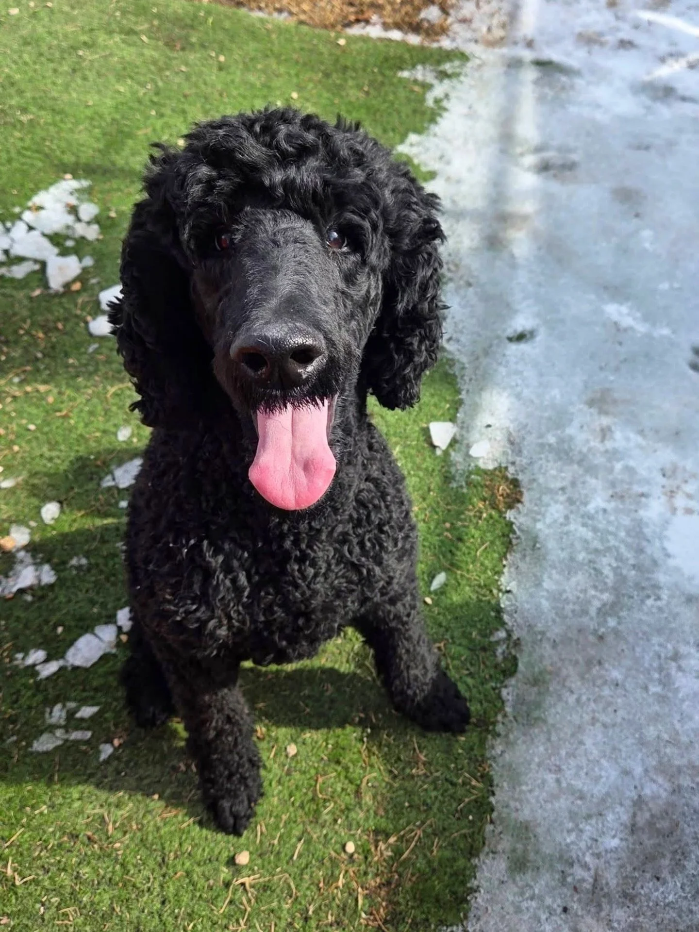 ❄️☃️🧊⛸️🥶