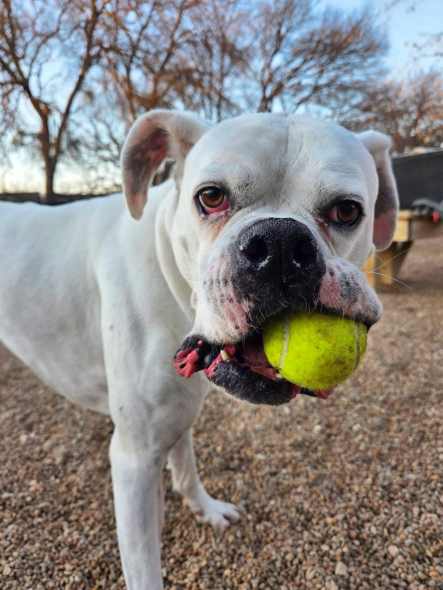 Friday Funday! ☀️