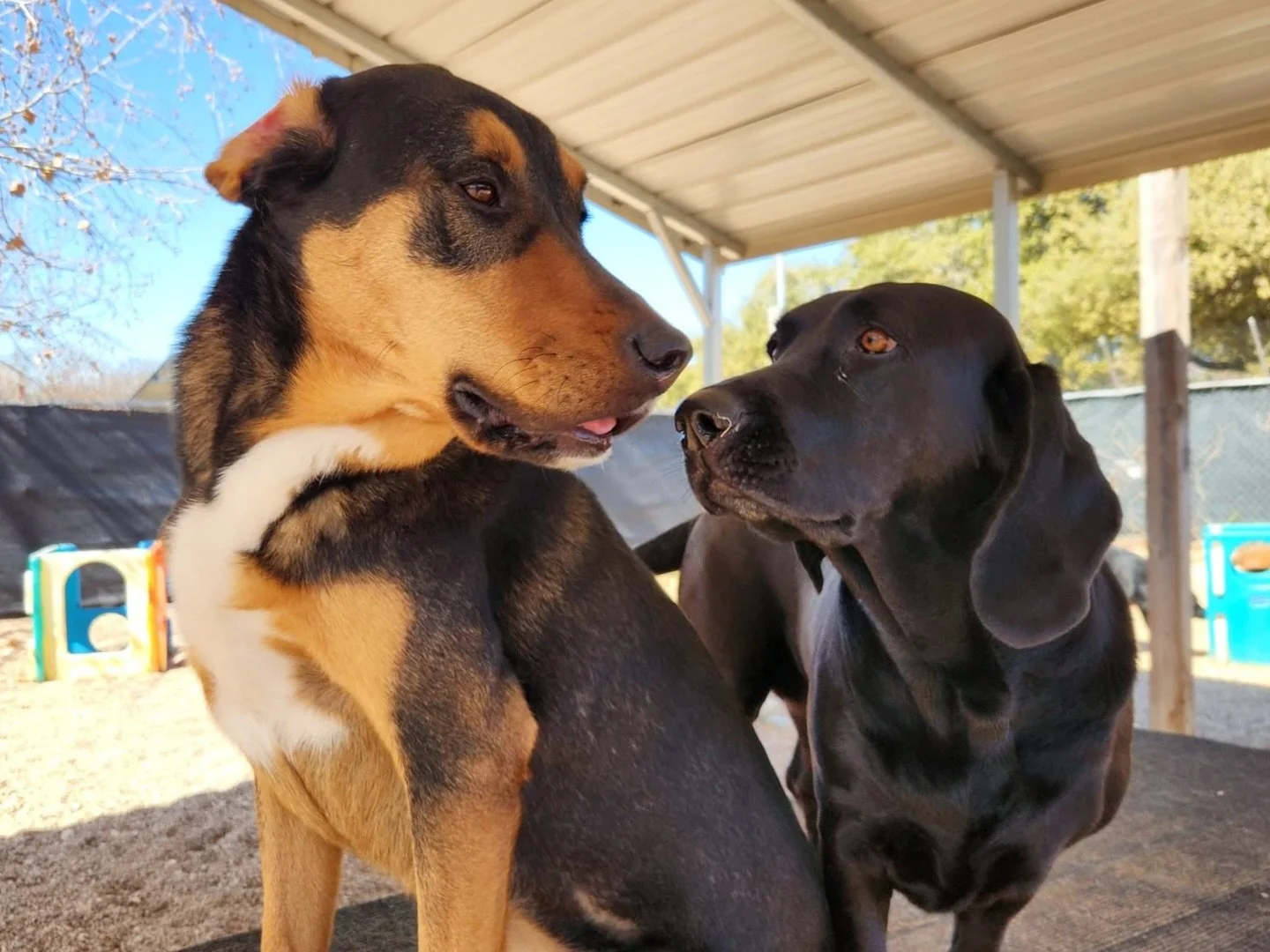 The best babies 💕