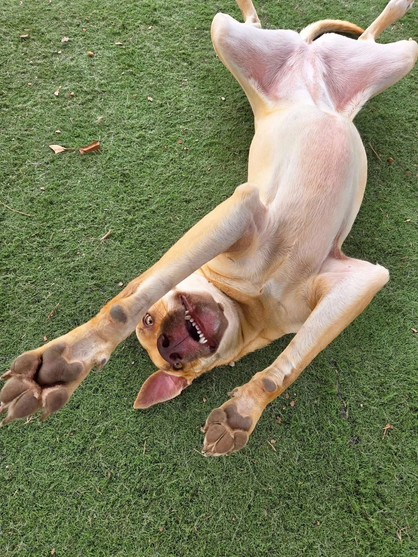 Love these silly guys ❤️