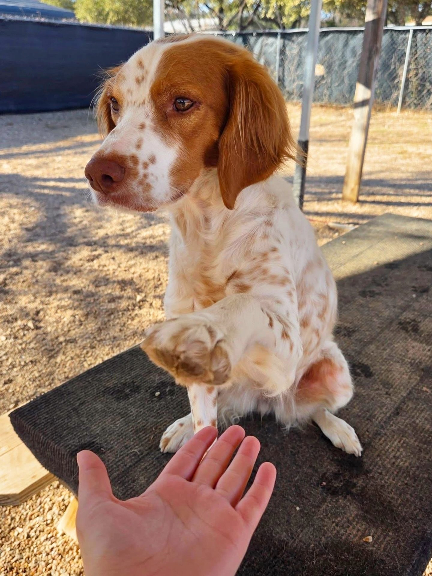 High five for Friday! 🎉